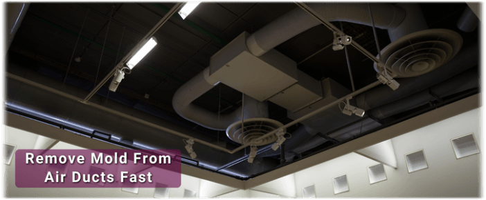 Air Duct Mold Removal in Wylie