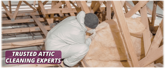 Attic Cleaning Wylie