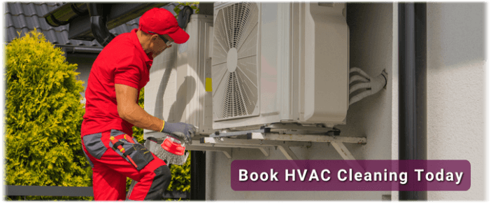 HVAC Mold Removal Wylie